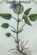 Royal Copenhagen Flora Danica Spisetallerken No. 20/3549