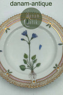 Royal Copenhagen Flora Danica Kuchenteller Nr. 20/3552.