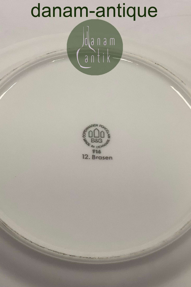 Bing and Grondahl Blue Tone Fish Plate Motif 12 Bream No. 716