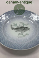 Bing og Grøndahl Blå Tone Fisketallerken Motiv 6 Torsk No. 716
