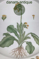 Royal Copenhagen Flora Danica Openwork Serving Dish No 20/3527