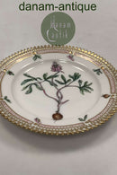 Royal Copenhagen Privat gemalt Flora Danica Kuchenteller Nr 3552