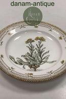 Royal Copenhagen Privately painted Flora Danica Dinner plate No 3549