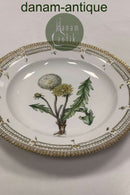 Royal Copenhagen Privat gemalt Flora Danica Essteller Nr 3549