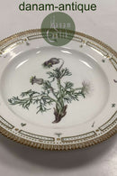 Royal Copenhagen Privat gemalt Flora Danica Essteller Nr 3549