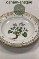 Royal Copenhagen Privat gemalt Flora Danica Essteller Nr 3549