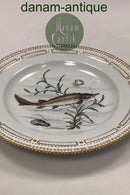 Royal Copenhagen Privat gemalt Flora Danica Fisch Teller Nr 3549