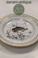Royal Copenhagen Privat gemalt Flora Danica Fisch Teller Nr 3549