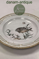 Royal Copenhagen Privately painted Flora Danica Fish plate No 3549
