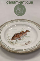 Royal Copenhagen Privat gemalt Flora Danica Fisch Teller Nr 3549