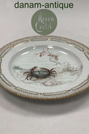 Royal Copenhagen Privat gemalt Flora Danica Fisch Teller Nr 3549