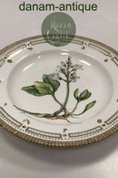 Royal Copenhagen Privatmalet Flora Danica Spisetallerken No 3549