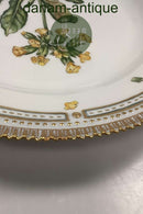 Royal Copenhagen Privat gemalt Flora Danica Essteller Nr 3549