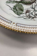 Royal Copenhagen Privat gemalt Flora Danica Fisch Teller Nr 3549