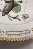 Royal Copenhagen Privat gemalt Flora Danica Fisch Teller Nr 3549