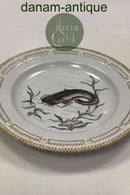 Royal Copenhagen Privat gemalt Flora Danica Fisch Teller Nr 3549