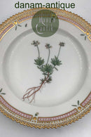 Royal Copenhagen Flora Danica Dessert Tallerken No 20/3551