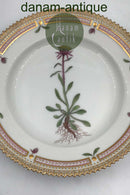 Royal Copenhagen Flora Danica Dessert Tallerken No 20/3551