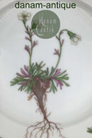 Royal Copenhagen Flora Danica Dessertteller Nr. 20/3551