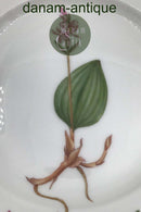 Royal Copenhagen Flora Danica Dessert Tallerken No 20/3551