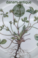 Royal Copenhagen Flora Danica Spisetallerken No. 624 (20/3549)