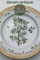 Royal Copenhagen Flora Danica Speiseteller Nr. 624 (20/3549)