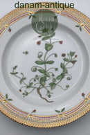 Royal Copenhagen Flora Danica Spisetallerken No. 20/3549