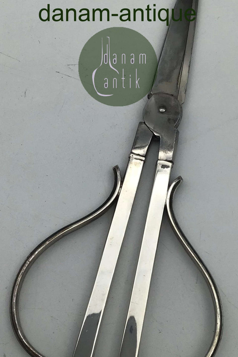 Cohr Sølv/Stål Druesaks