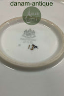 Bing and Grondahl仙人掌水壶，带盖。可容纳1.5升。状态良好，无破损。