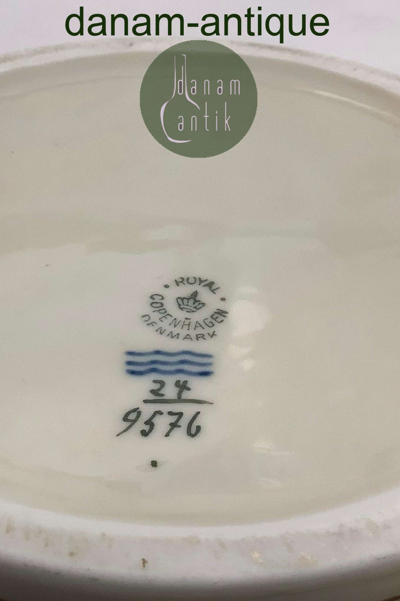 Royal Copenhagen Asmild Suppeterrin No. 9576