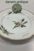 Bing og Grøndahl Antik Rosen Stel Spisetallerken