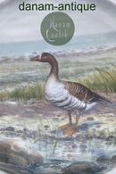 Royal Copenhagen Flora Danica Fuglestel Middagstallerken No 240/3549.