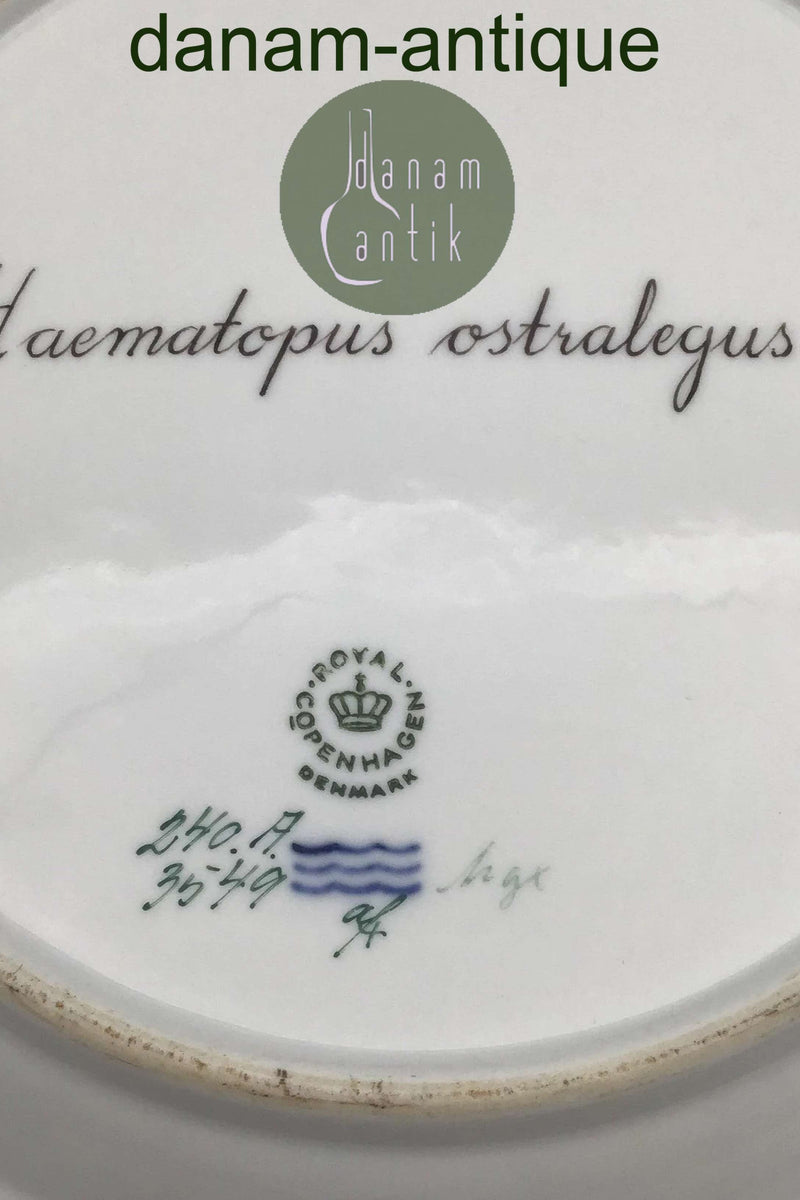 Royal Copenhagen Flora Danica Fuglestel Middagstallerken No 240/3549.