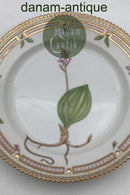 Royal Copenhagen Flora Danica Salat Tallerken No 20/3573