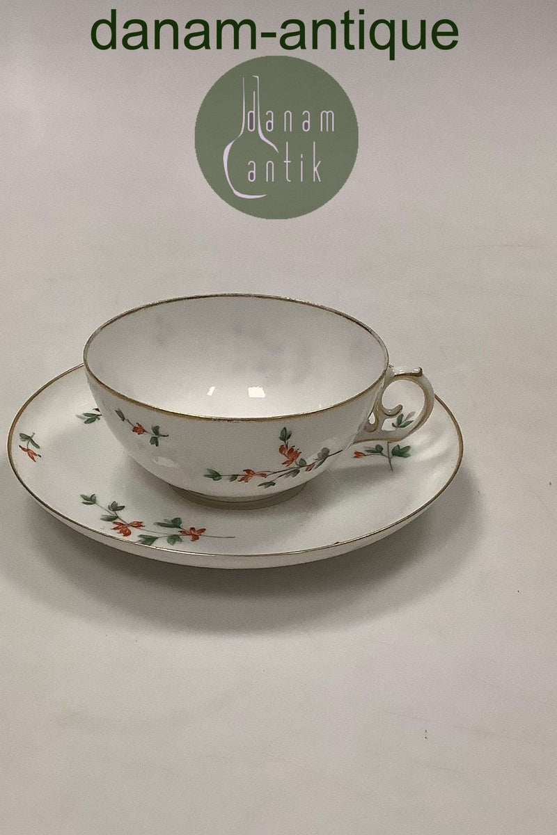 Royal Copenhagen Berberis Lille Thekop med underkop