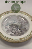 Flora Danica Jagtstel Middagstallerken No 239/3549 Isbjørn