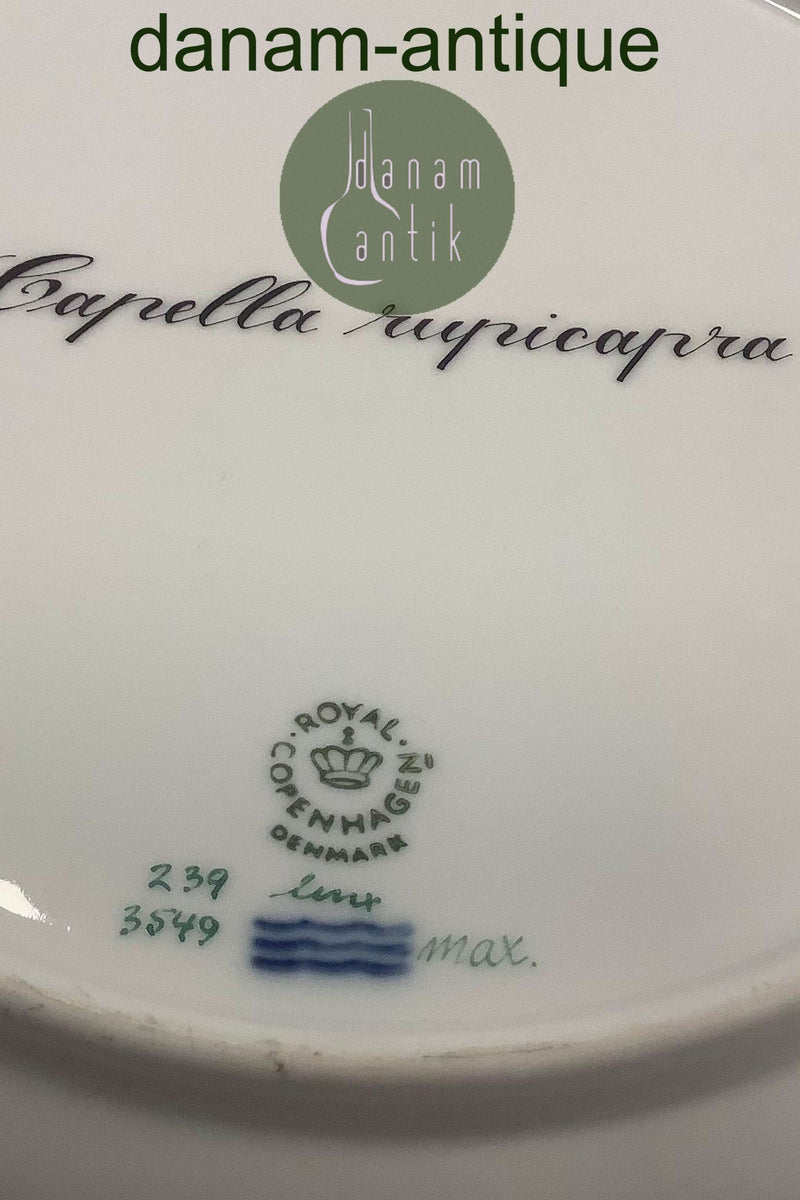 Flora Danica Jagtstel Middagstallerken No 239/3549 Gemse