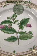 Royal Copenhagen Flora Danica Spisetallerken No. 624 (20/3549)