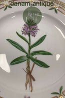 Royal Copenhagen Flora Danica Spisetallerken No. 624 (20/3549)