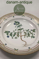 Royal Copenhagen Flora Danica Spisetallerken No. 624 (20/3549)