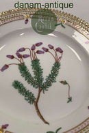 Royal Copenhagen Flora Danica Salat Tallerken No 20/3573