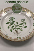 Royal Copenhagen Flora Danica Salat Tallerken No 20/3573