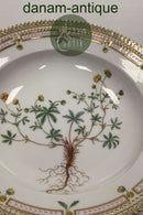 Royal Copenhagen Flora Danica Deep Plate No 20/3546 or 604