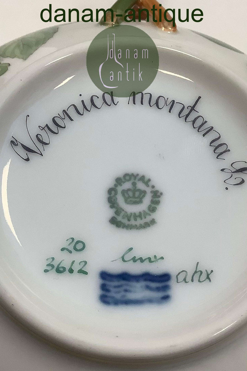 Royal Copenhagen Flora Danica Bouillon Kop med underskål No 20/3612