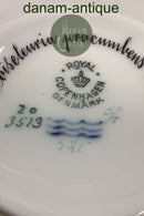 Royal Copenhagen Flora Danica Chokoladekop No 20 / 3513