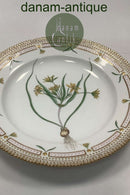 Royal Copenhagen Flora Danica Spisetallerken No. 624 ( 20 / 3549 )