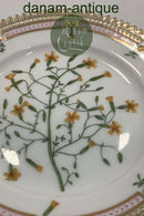 Royal Copenhagen Flora Danica Kagetallerken No 20/3552