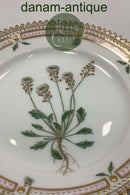 Royal Copenhagen Flora Danica Kagetallerken No 20/3552