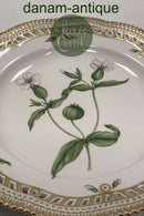 Royal Copenhagen Flora Danica tallerken med gennembrudt kant No 20/3553