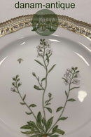 Royal Copenhagen Flora Danica tallerken med gennembrudt kant No 20/3553